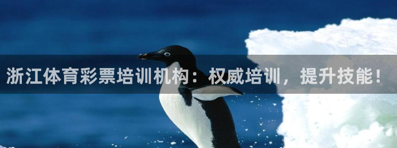 耀世国际平台正规吗可信吗安全吗：浙江体育彩票培训机构