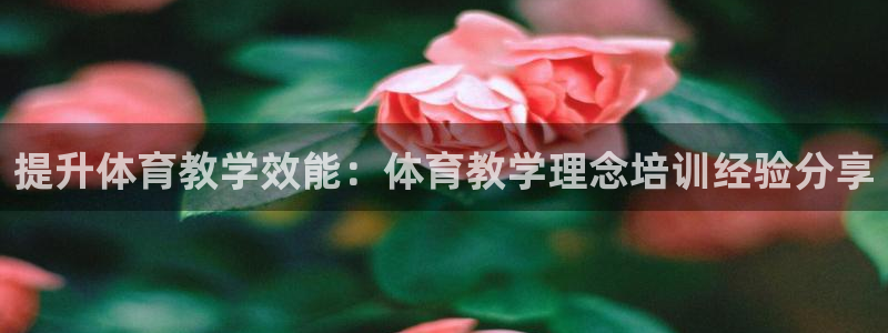 耀世娱乐好不好做：提升体育教学效能：体育教学理念培训