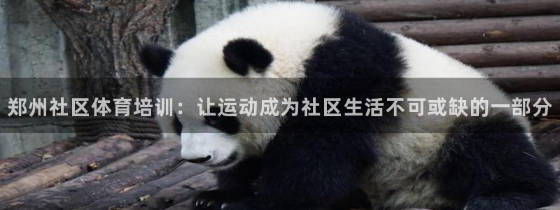 耀世娱乐怎么注册：郑州社区体育培训：让运动成为社区生