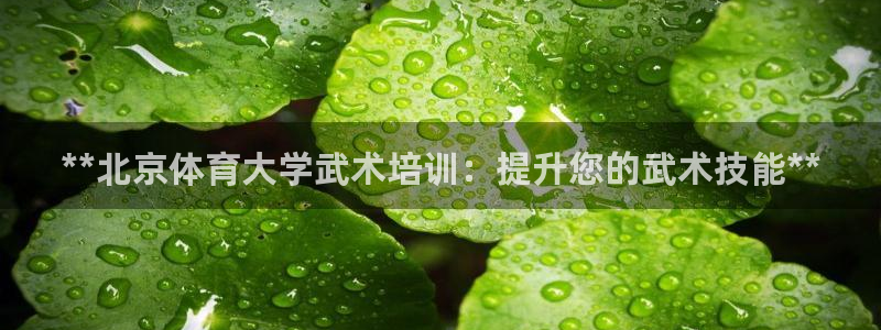 耀世集团商业联盟：**北京体育大学武术培训：提升您的