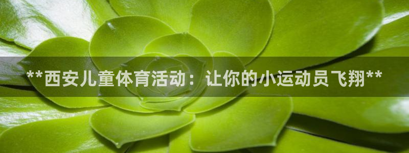 耀世国际集团是国企吗还是私企