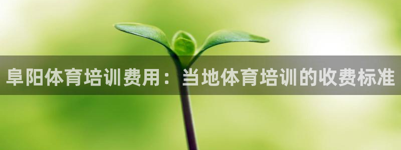 耀世娱乐创3.3.4.8.2菲特
