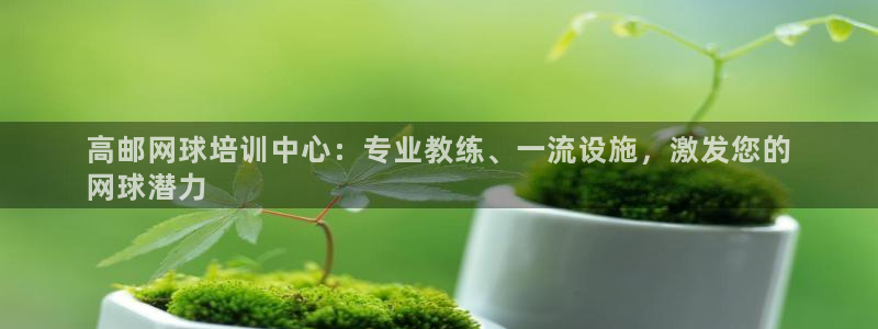 耀世微光歌词：高邮网球培训中心：专业教练、一流设施，
