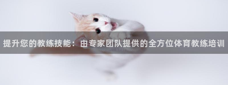 耀世平台推 411o31 耀世：提升您的教练技能：由