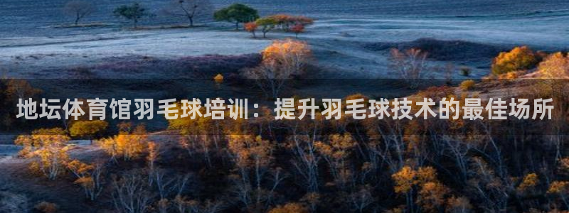 耀世娱乐含山县：地坛体育馆羽毛球培训：提升羽毛球技术