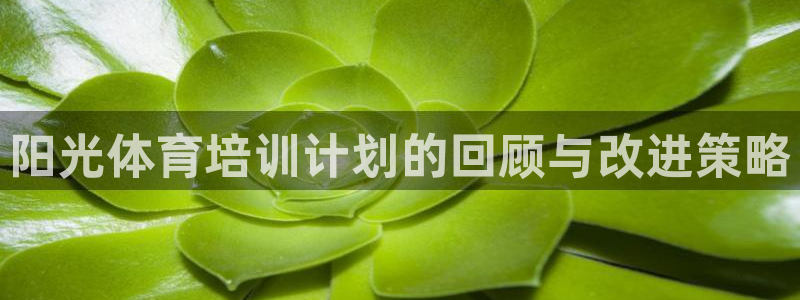 耀世盛典手游下载：阳光体育培训计划的回顾与改进策略
