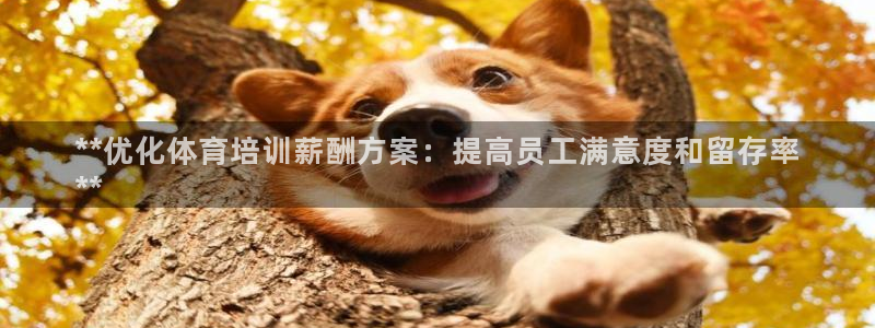 耀世娱乐平台官网登录不了：**优化体育培训薪酬方案：