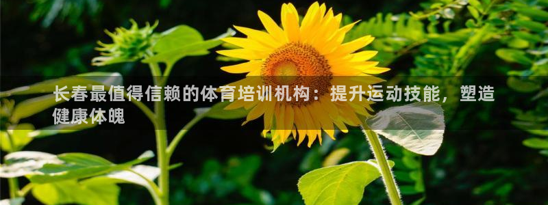 耀世娱乐辅助软件下载官网：长春最值得信赖的体育培训机