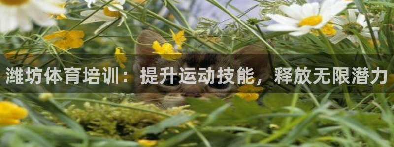 耀世娱乐提款