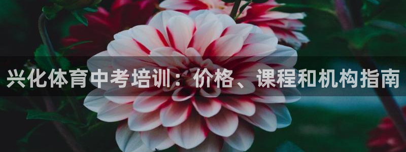 耀世娱乐下载最新版本安装教程：兴化体育中考培训：价格