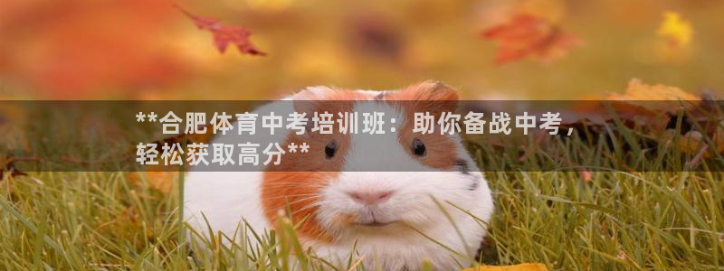 耀世平台面 411O31 平台：**合肥体育中考培训