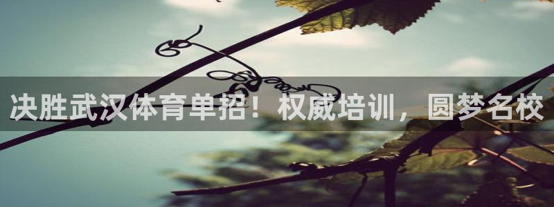耀世娱乐登陆地址查询：决胜武汉体育单招！权威培训，圆