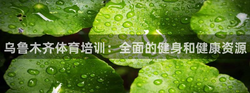 耀世开业：乌鲁木齐体育培训：全面的健身和健康资源