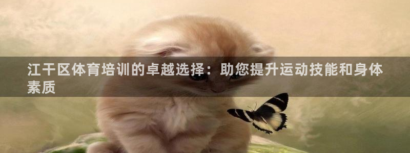 耀世娱乐平台官网：江干区体育培训的卓越选择：助您提升