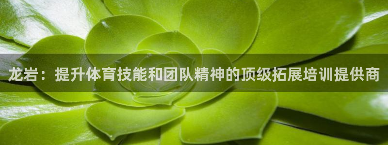 耀世平台注册登录不上怎么回事：龙岩：提升体育技能和团