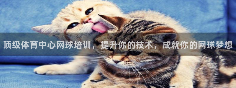 耀世娱乐平台官网首页：顶级体育中心网球培训，提升你的