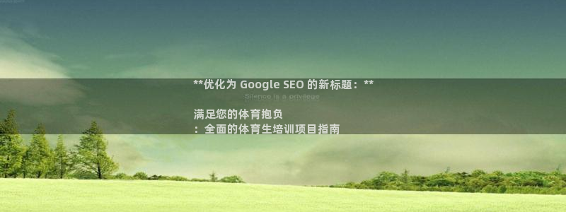 耀世娱乐注册入口官网：**优化为 Google SE