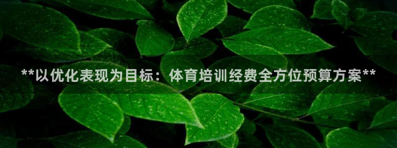 耀世而生什么意思：**以优化表现为目标：体育培训经费