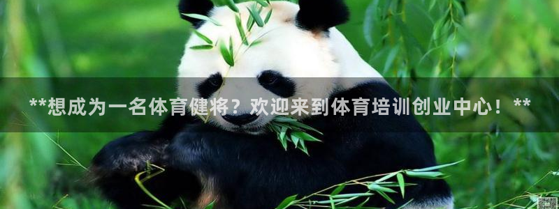 耀世挑战第三关怎么打：**想成为一名体育健将？欢迎来
