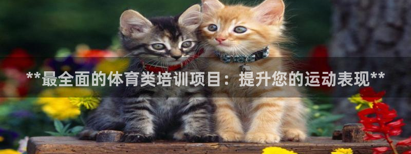 耀世集团是什么电影：**最全面的体育类培训项目：提升