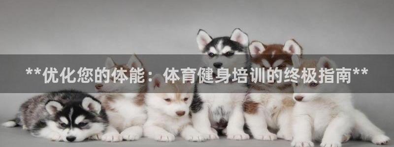 耀世娱乐腾讯分分彩：**优化您的体能：体育健身培训的