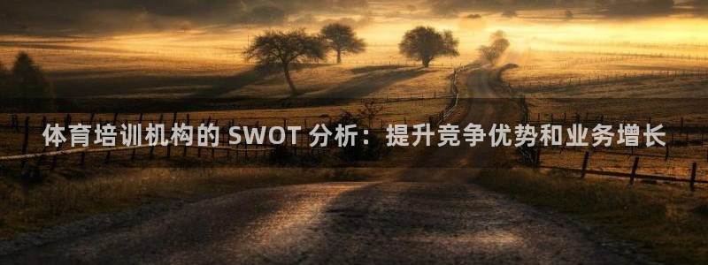 耀世燃气灶是哪个牌子：体育培训机构的 SWOT 分析