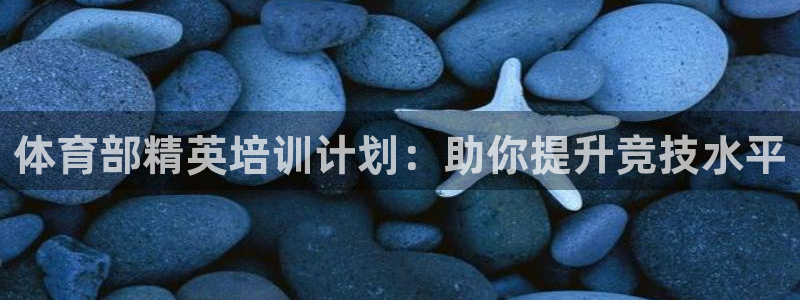 耀世娱乐登陆官网：体育部精英培训计划：助你提升竞技水