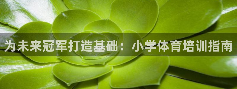 耀世娱乐联 585341：为未来冠军打造基础：小学体