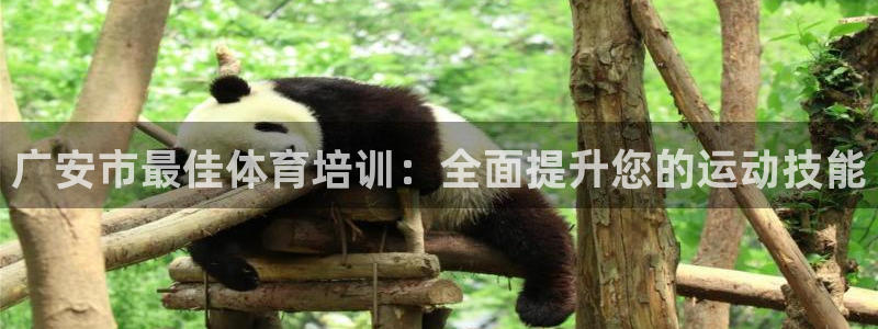 耀世平台注册网址是什么：广安市最佳体育培训：全面提升