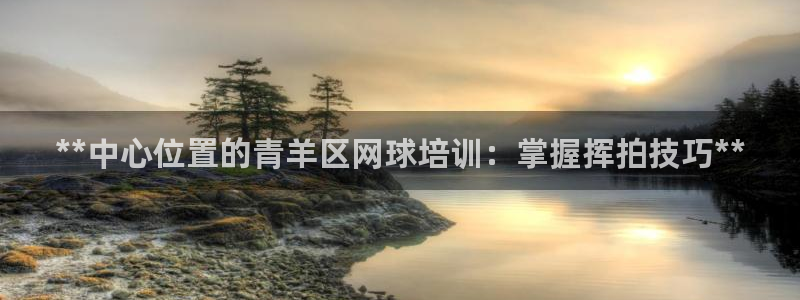 耀世娱乐挂机脚本：**中心位置的青羊区网球培训：掌握