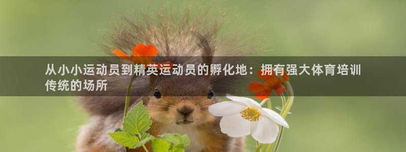 耀世平台有很多登录地址怎么回事：从小小运动员到精英运