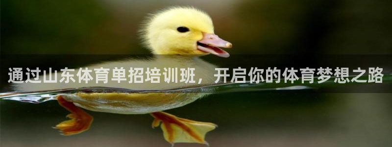 耀世娱乐客服：通过山东体育单招培训班，开启你的体育梦