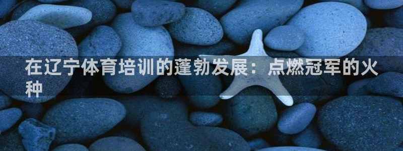 耀世啥意思：在辽宁体育培训的蓬勃发展：点燃冠军的火

