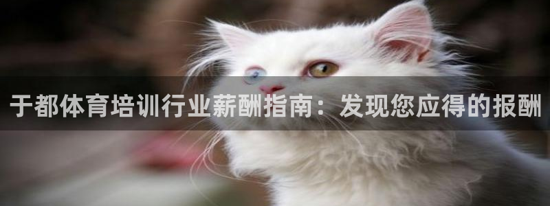 耀世登场之类的广告词：于都体育培训行业薪酬指南：发现