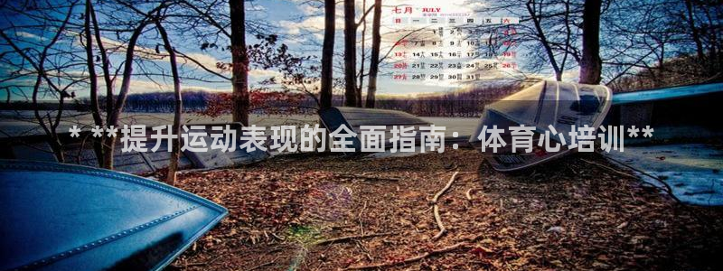 耀世启幕：* **提升运动表现的全面指南：体育心培训