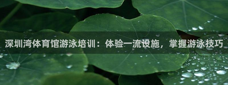 耀世天下的网名是什么意思啊：深圳湾体育馆游泳培训：体