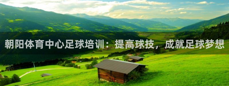 哪吒s耀世版价格：朝阳体育中心足球培训：提高球技，成