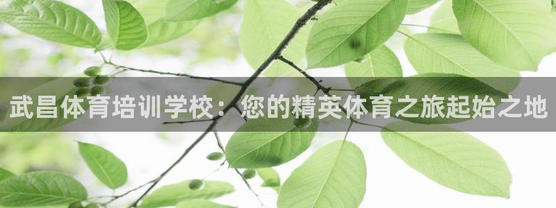 耀世平台开户联4.8.7.7.8.4他系稳定吗：武昌