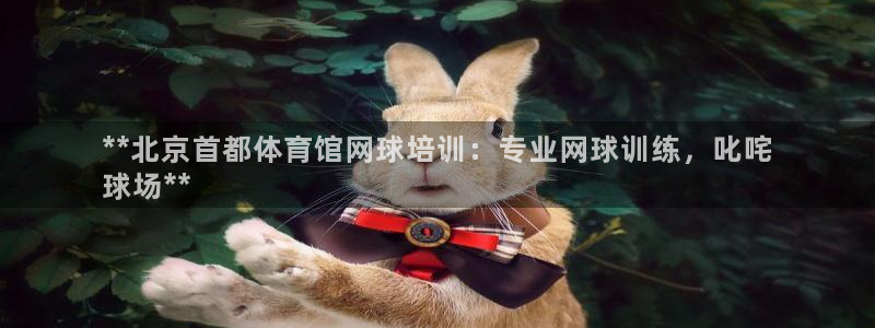 耀世平台哪个彩种是公平彩：**北京首都体育馆网球培训