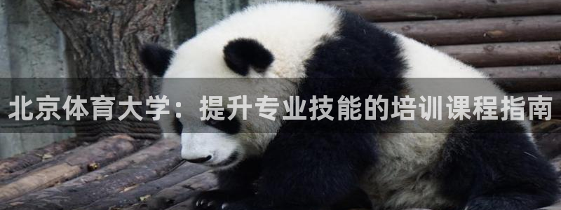 耀世平台是黑台子吗知乎：北京体育大学：提升专业技能的