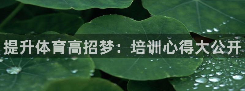 耀世平台注册步骤微博：提升体育高招梦：培训心得大公开