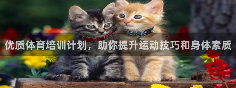 耀世娱乐挂机脚本怎么用：优质体育培训计划，助你提升运
