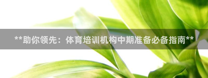 耀世娱乐辅助：**助你领先：体育培训机构中期准备必备