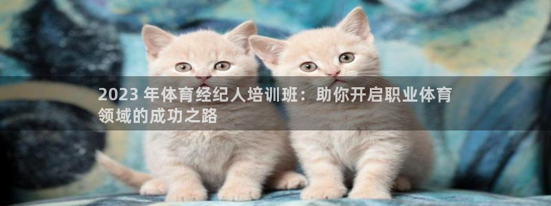 耀世平台客服24小时在线咨询电话：2023 年体育经