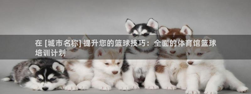 耀世娱乐是不是很黑呀：在 [城市名称] 提升您的篮球