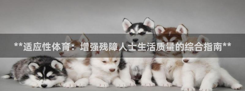 耀世平台注册步骤及时间：**适应性体育：增强残障人士
