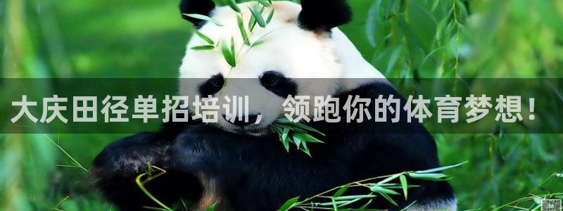 耀世娱乐注册账号：大庆田径单招培训，领跑你的体育梦想