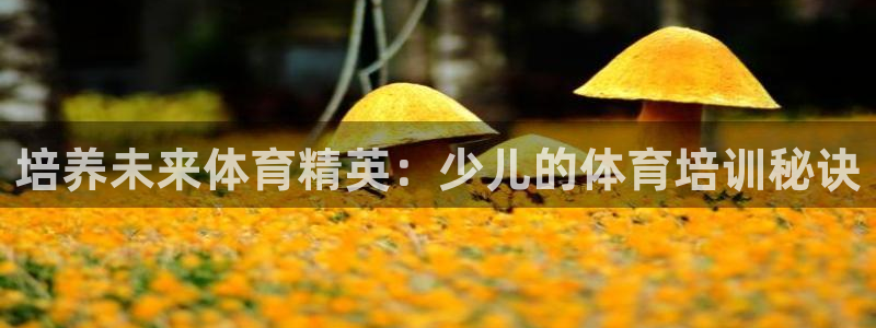 耀世娱乐网站官网：培养未来体育精英：少儿的体育培训秘