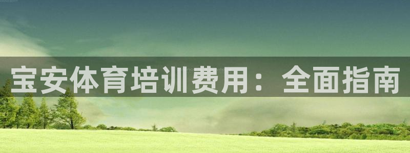 耀世是什么车：宝安体育培训费用：全面指南