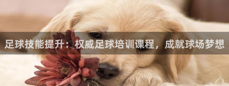 耀世娱乐然 37OO735：足球技能提升：权威足球培